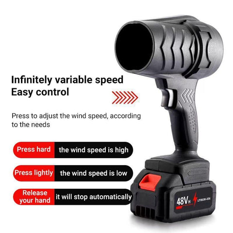 Jet Blower with Charger & 2 x Battery